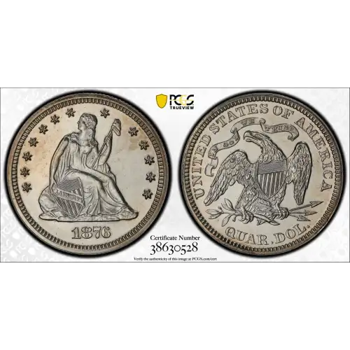 1876 25C (2)