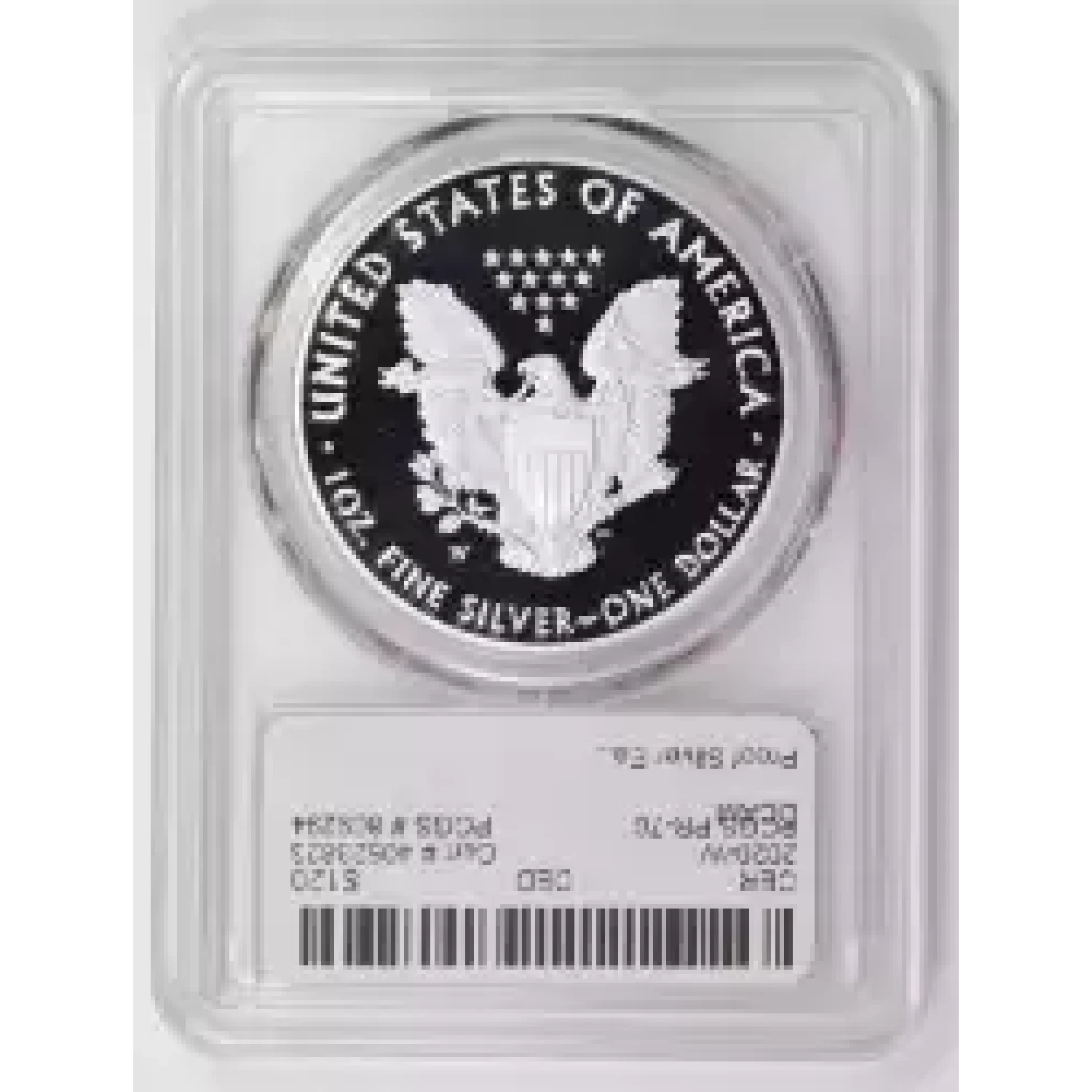 2020-W $1 Silver Eagle, DCAM (2)