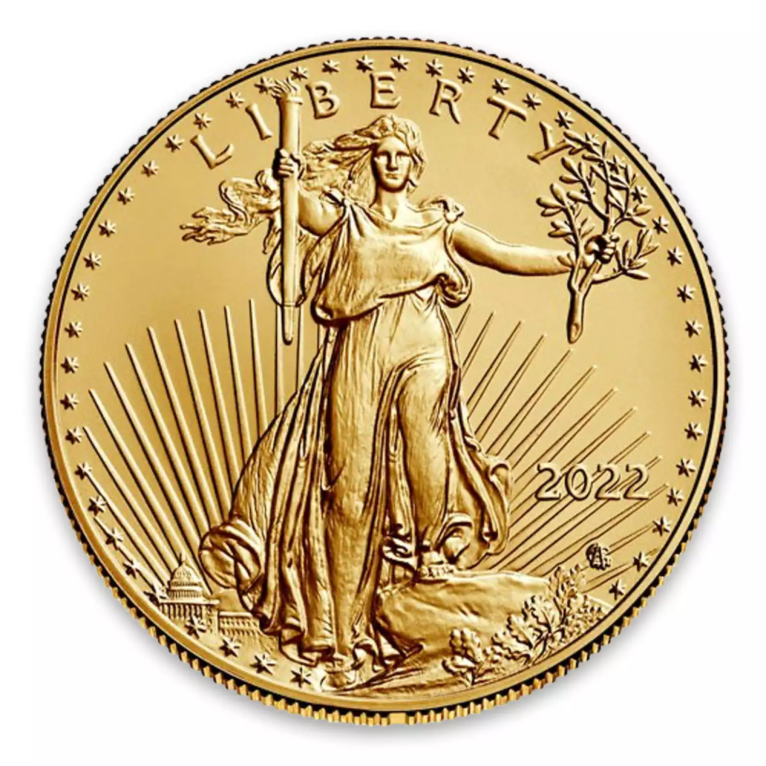 2022 1/10oz American Gold Eagle (2)