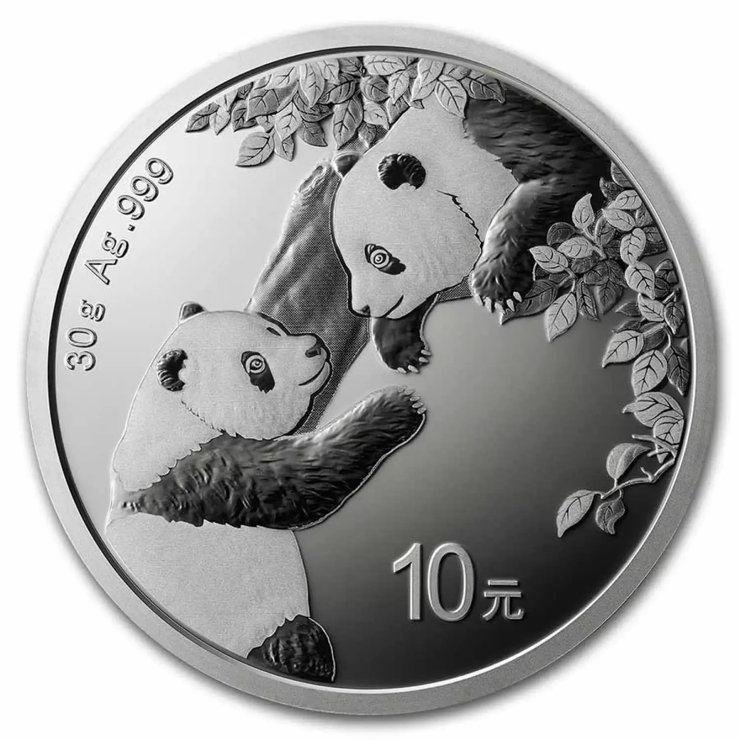 2023 30g Chinese Silver Panda (3)