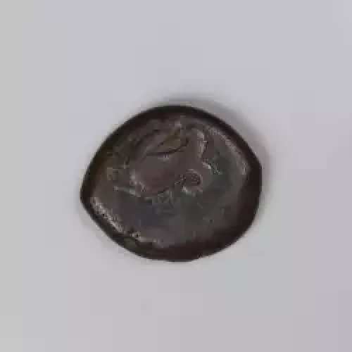 Ancient Greek Coin (2)