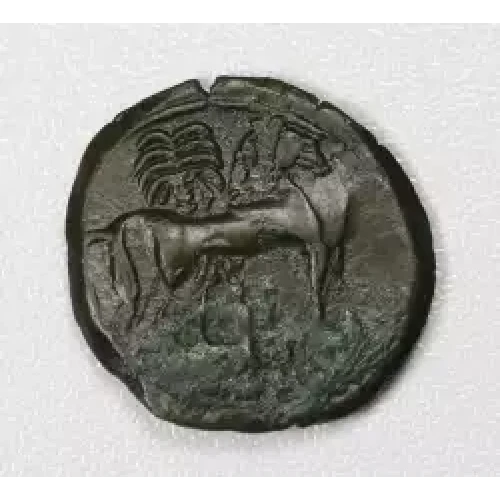 Ancient Greek Coin