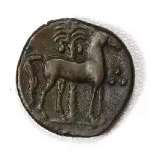 Ancient Greek Coin (2)