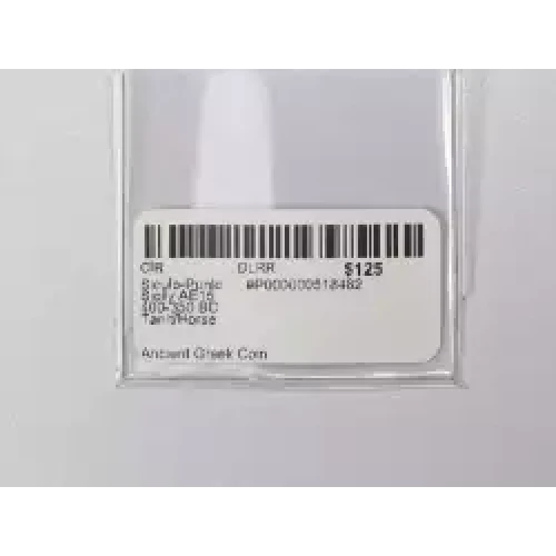 Ancient Greek Coin (3)