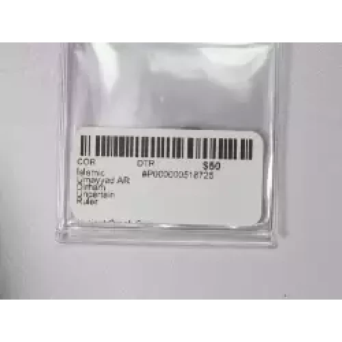 Ancient Greek Coin (3)