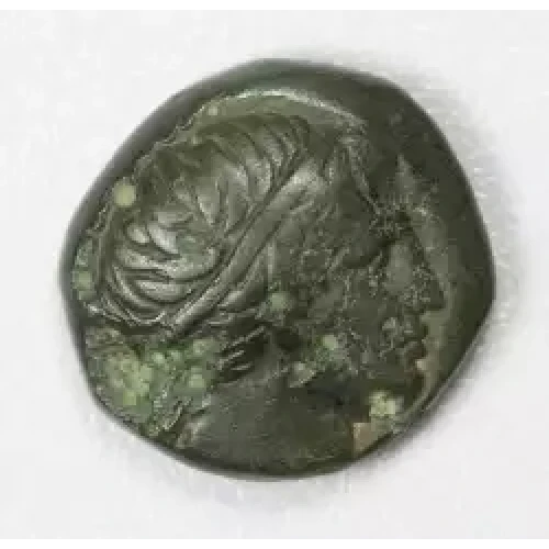 Ancient Greek Coin