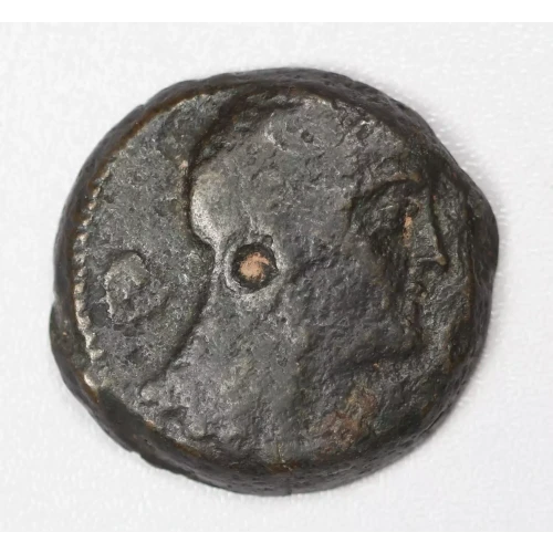 Ancient Greek Coin
