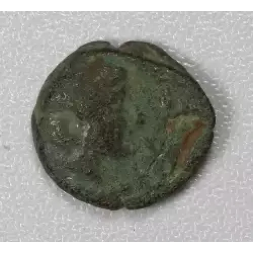 Ancient Greek Coin (2)