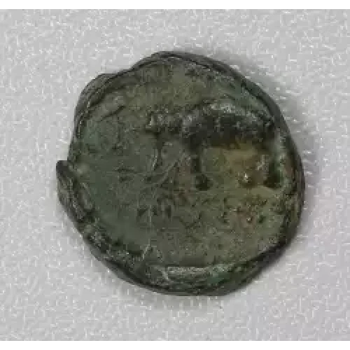 Ancient Greek Coin