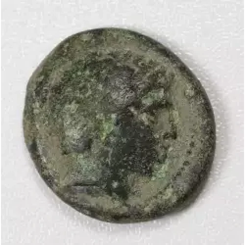 Ancient Greek Coin