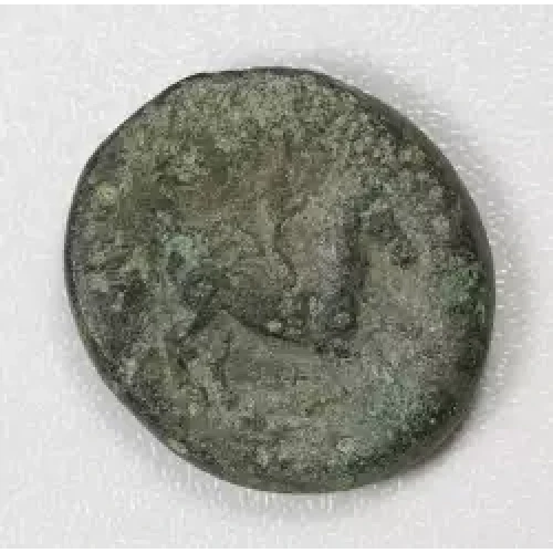Ancient Greek Coin