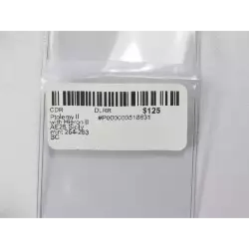 Ancient Greek Coin (3)