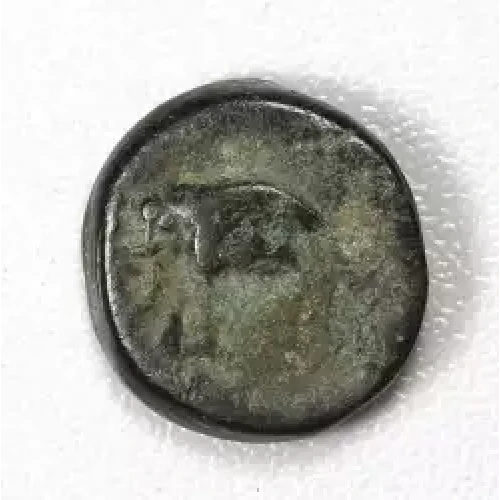 Ancient Greek Coin (2)