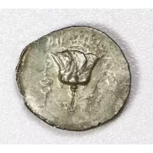 Ancient Greek Coin