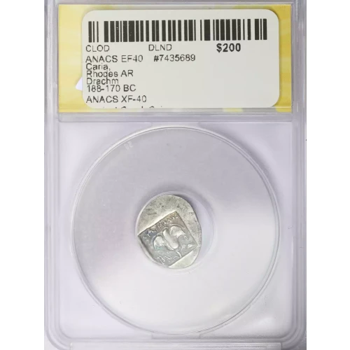 Ancient Greek Coin