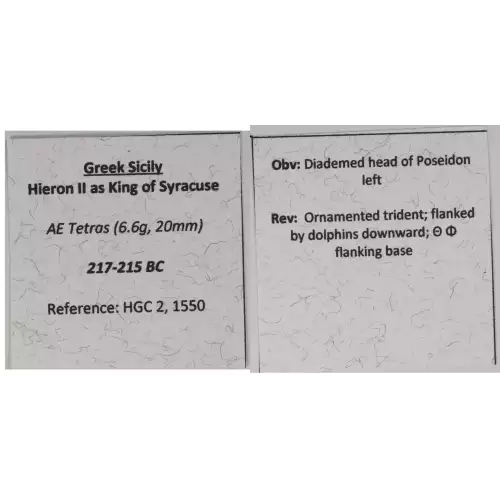 Ancient Greek Coin (4)