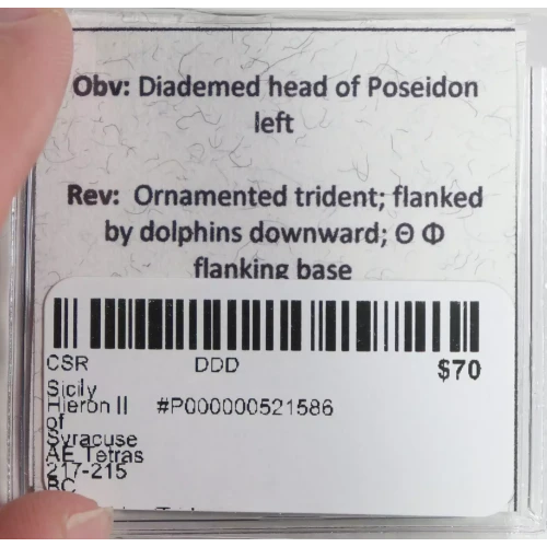 Ancient Greek Coin (3)