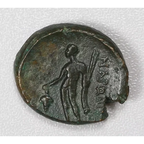 Ancient Greek Coin (2)