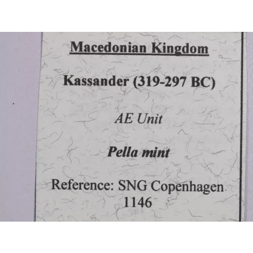 Ancient Greek Coin (4)