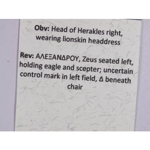 Ancient Greek Coin (5)