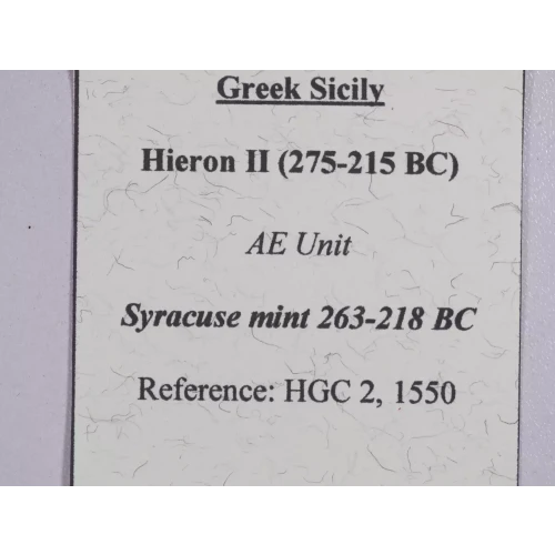 Ancient Greek Coin (4)