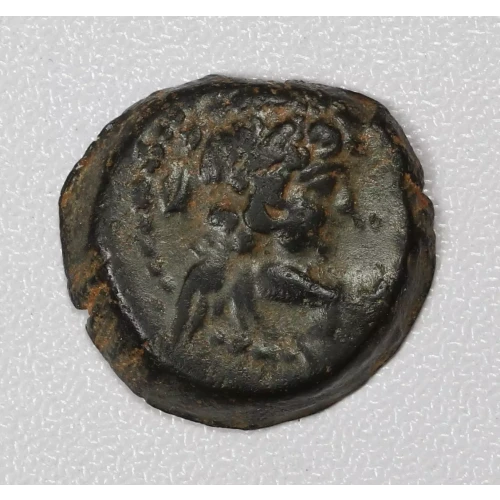 Ancient Greek Coin
