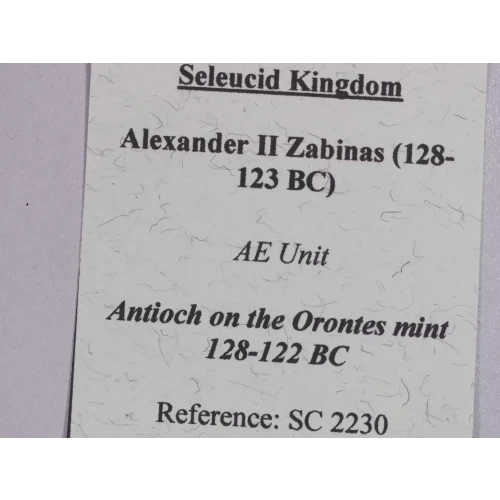 Ancient Greek Coin (4)