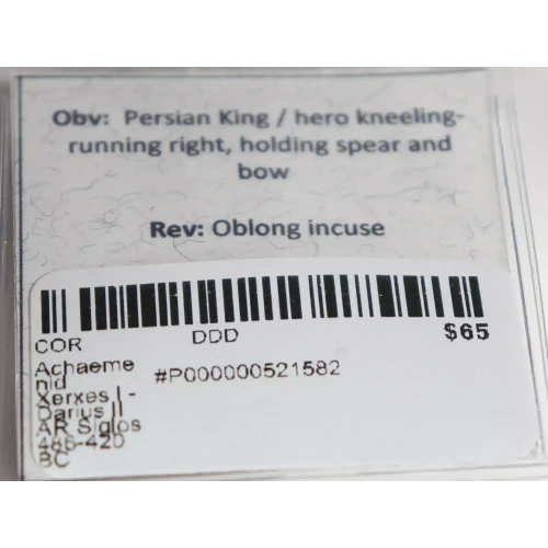 Ancient Greek Coin (4)