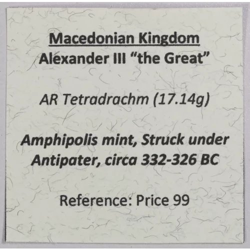 Ancient Greek Coin (4)