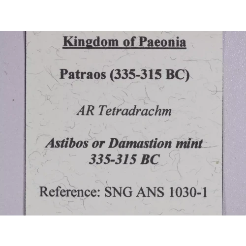 Ancient Greek Coin (4)