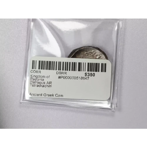 Ancient Greek Coin (3)