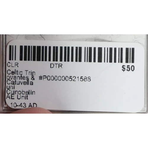 Ancient Greek Coin (3)