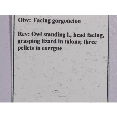 Ancient Greek Coin (5)