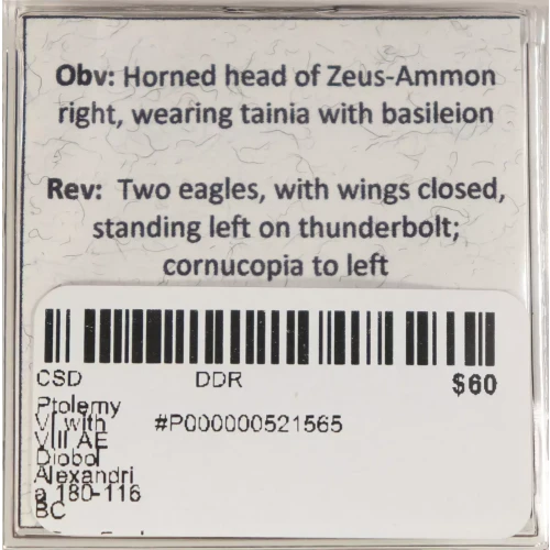 Ancient Greek Coin (4)