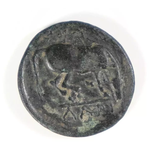 Ancient Greek Coin (3)