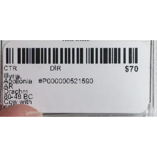 Ancient Greek Coin (4)