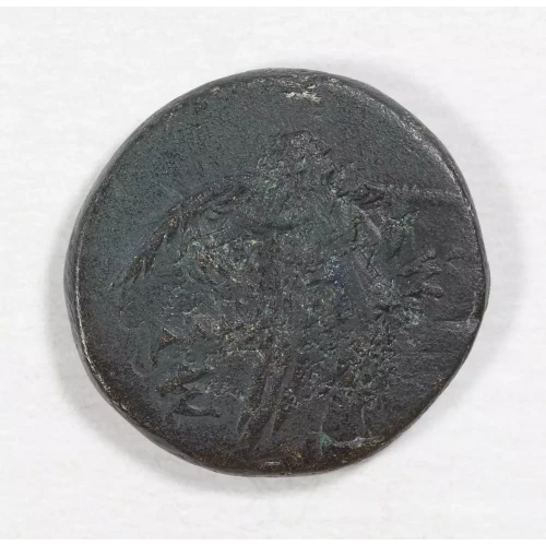 Ancient Greek Coin (2)
