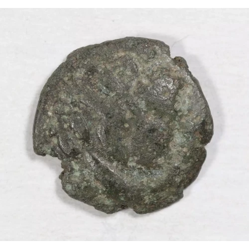 Ancient Greek Coin (2)