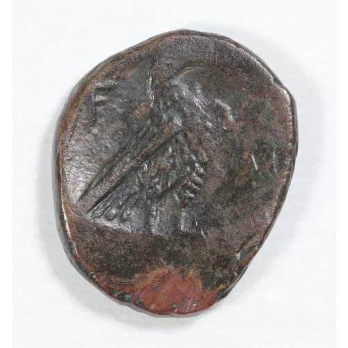 Ancient Greek Coin (2)