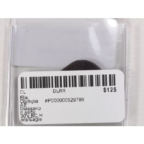 Ancient Greek Coin (3)