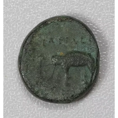 Ancient Greek Coin
