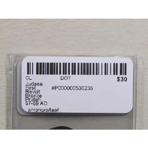 Ancient Greek Coin (3)