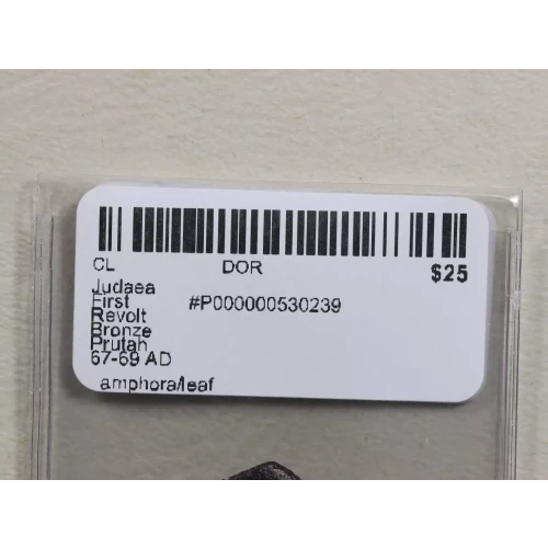 Ancient Greek Coin (3)