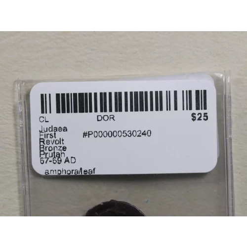 Ancient Greek Coin (3)