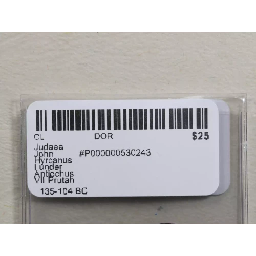 Ancient Greek Coin (3)