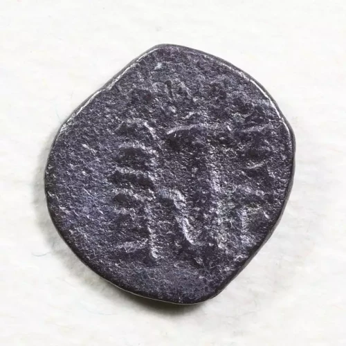 Ancient Greek Coin (2)