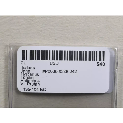 Ancient Greek Coin (3)