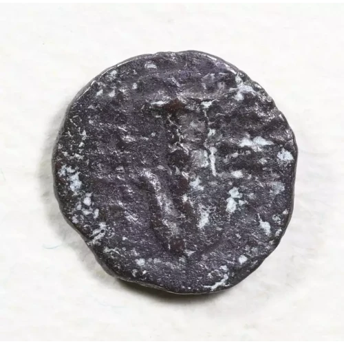 Ancient Greek Coin