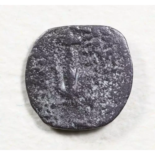 Ancient Greek Coin (2)