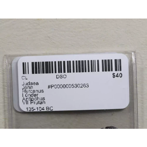 Ancient Greek Coin (3)